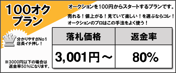 100オクプラン